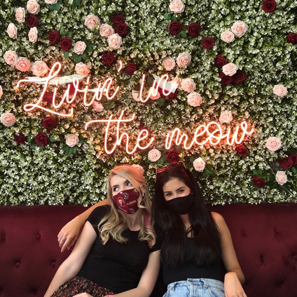 Meet your Posher, Kaitlyn - Picture 1 of 1